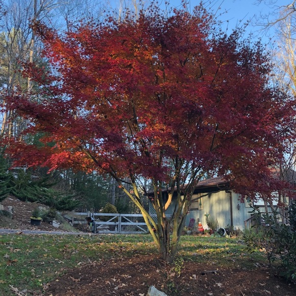 Meet your Posher, Vicky - Picture 1 of 1